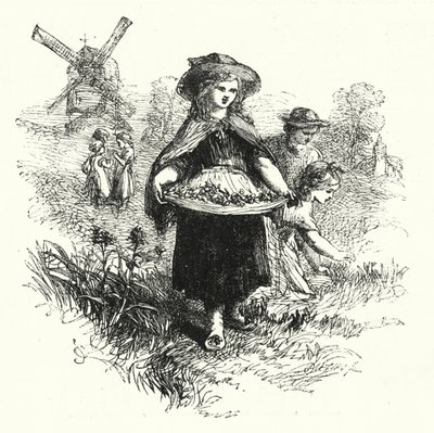 Zbieranie krowich poślizgów (grawerowanie) autorstwa English School