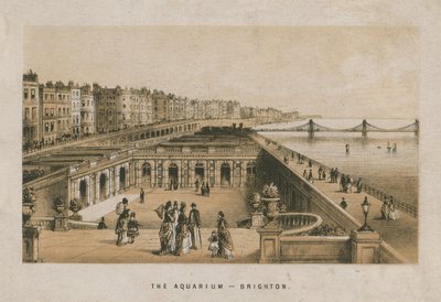 Ogólny widok Akwarium w Brighton autorstwa English School
