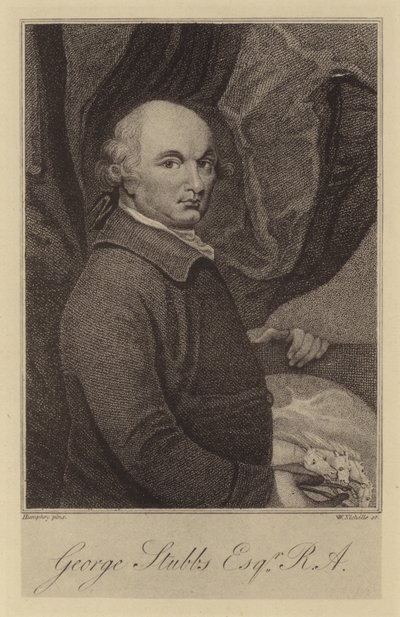 George Stubbs autorstwa English School