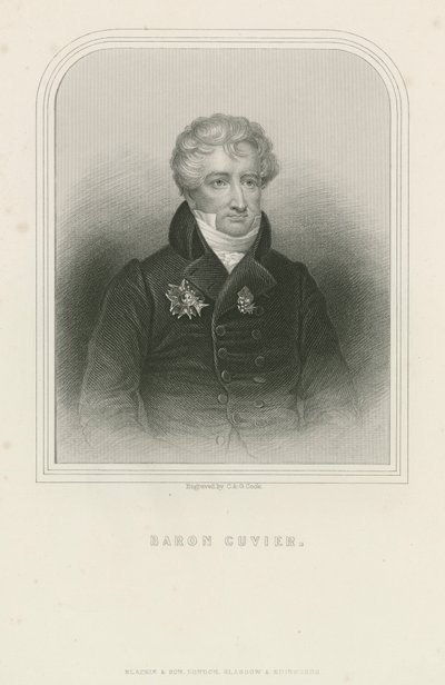 Georges Cuvier, francuski przyrodnik i zoolog (grafika) autorstwa English School