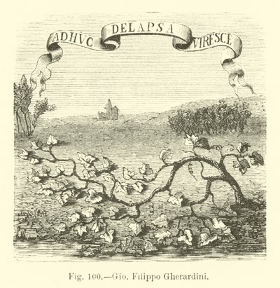 Giovanni Filippo Gherardini autorstwa English School