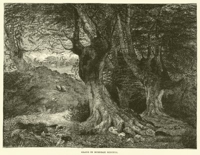Polana w Burnham Beeches (grawerunek) autorstwa English School