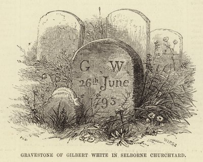 Nagrobek Gilberta White