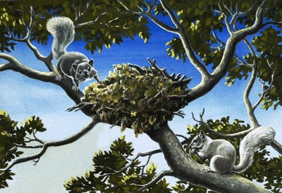 خړ squirrelspoli autorstwa English School