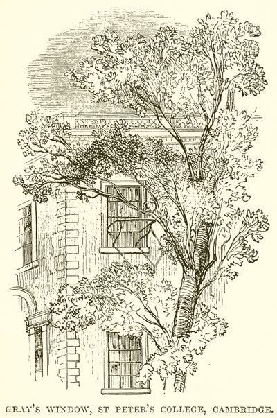 Okno szarości, St Peters College, Cambridge autorstwa English School