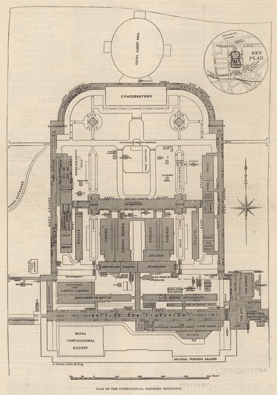 Plan terenu Międzynarodowej Wystawy Rybołówstwa, South Kensington autorstwa English School