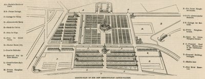 Plan terenu nowego Metropolitan Cattle Market, Copenhagen Fields autorstwa English School