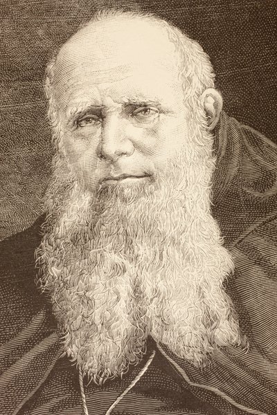 Guglielmo Massaia (litho) autorstwa English School