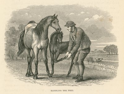 Obsługa stóp (grawerunek) autorstwa English School