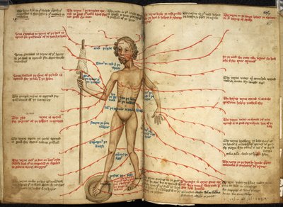 Harley 3719, ff.158v-159 Miniatura mężczyzny upuszczającego krew z jedną nogą na krwawiącej patelni i wrzecionem w dłoni, ilustracja z „Miscellany z różnymi tekstami astronomicznymi, kalendarzowymi, medycznymi i filozoficznymi” autorstwa English School