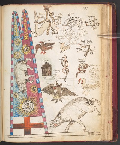 Harley 4632, f.242, sztandar Ryszarda III w Bosworth, plus Yorkist sunburst (wellum) autorstwa English School