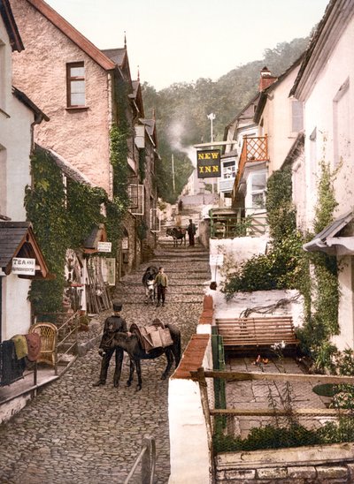 High Street, Clovelly (zdjęcie ręcznie kolorowane) autorstwa English School