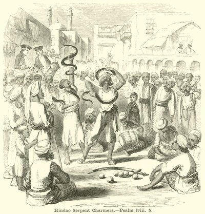 Zaklinacze węży hinduskich, Psalm, lviii, 5 autorstwa English School