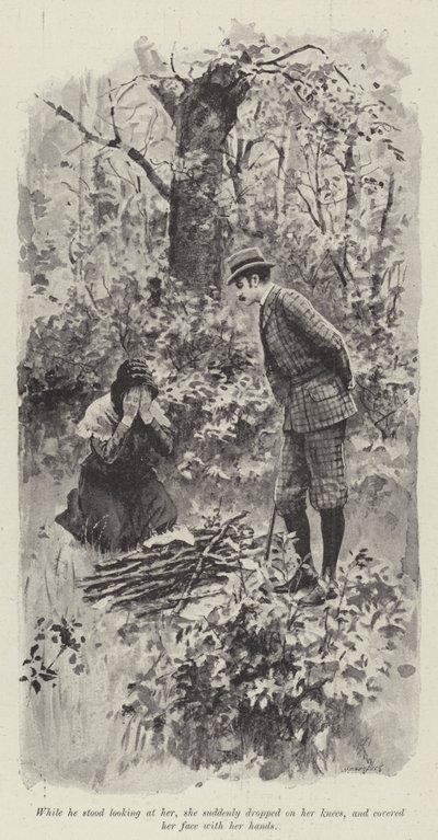 Jego dobra wróżka, Mary Elizabeth Braddon (lito) autorstwa English School