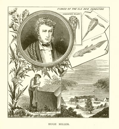 Hugh Miller autorstwa English School