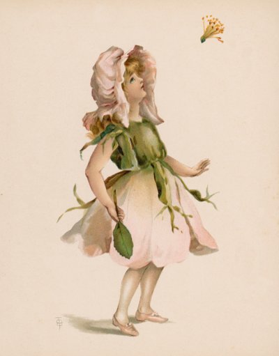 Ilustracja do języka kwiatów (chromolitho) autorstwa English School
