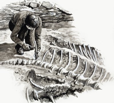 W czasach dinozaurów: Bitwa gigantów autorstwa English School