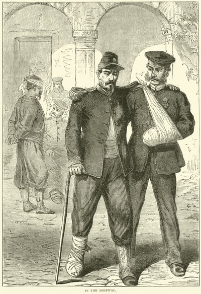 W szpitalu, listopad 1870 autorstwa English School