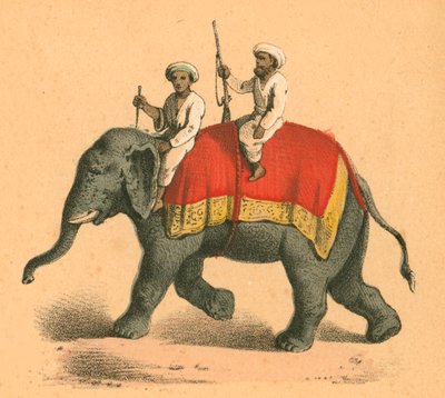 Indianie na słoniu autorstwa English School