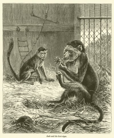 Jack i jego pierwsze cygaro (grawerunek) autorstwa English School