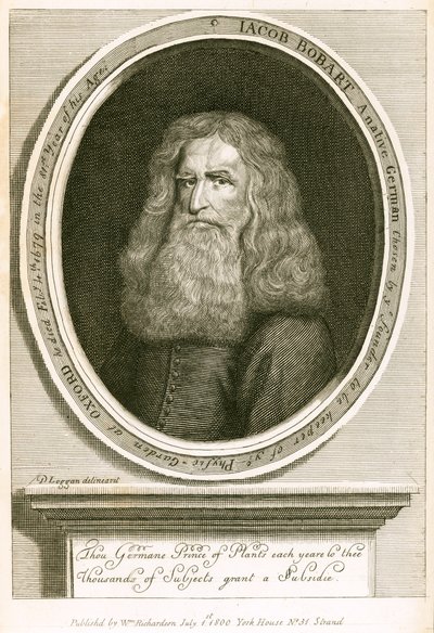 Jakub Bobart autorstwa English School