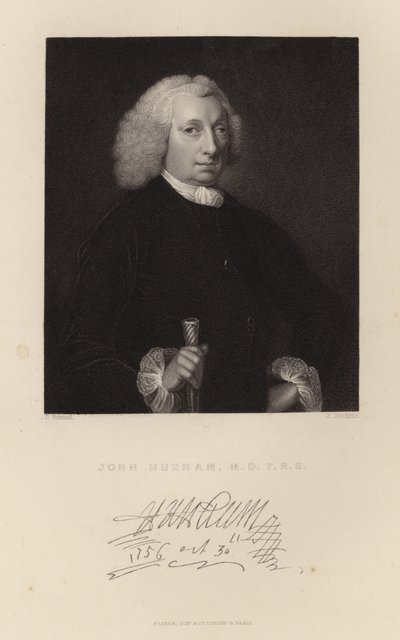 James Huxham autorstwa English School