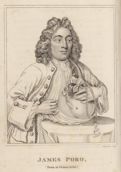 James Poro, urodzony w Genui 1686 autorstwa English School