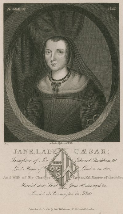 Jane, Lady Cezar, córka Sir Edwarda Barkhama autorstwa English School