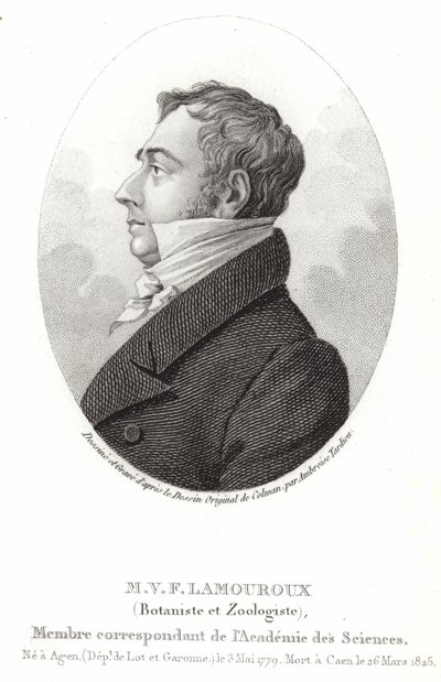 Jean Vincent Felix Lamouroux autorstwa English School
