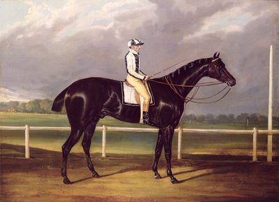 Jerry, zwycięzca St. Leger w 1824 (olej na płótnie) autorstwa English School
