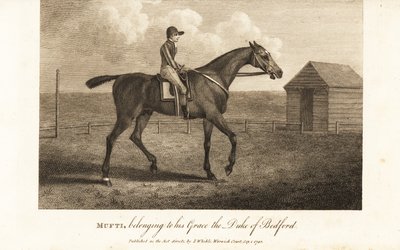 Dżokej na słynnym rasowym wyścigowcu Mufti, należącym do jego Grace the Prince of Bedford autorstwa English School