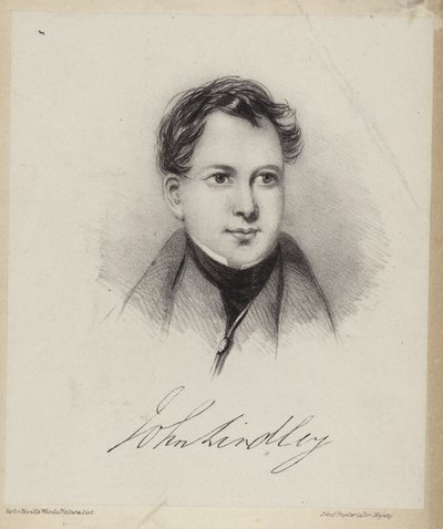 John Lindley autorstwa English School