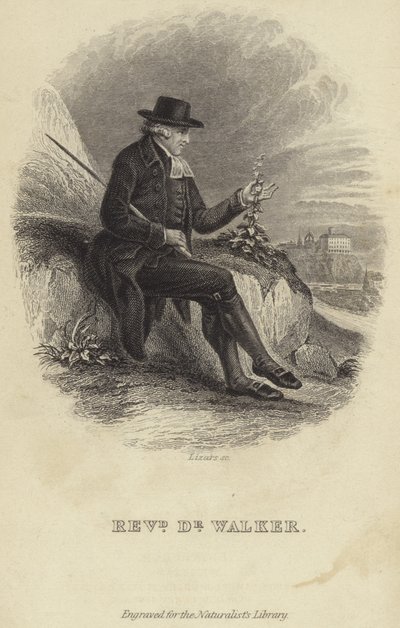 John Walker autorstwa English School