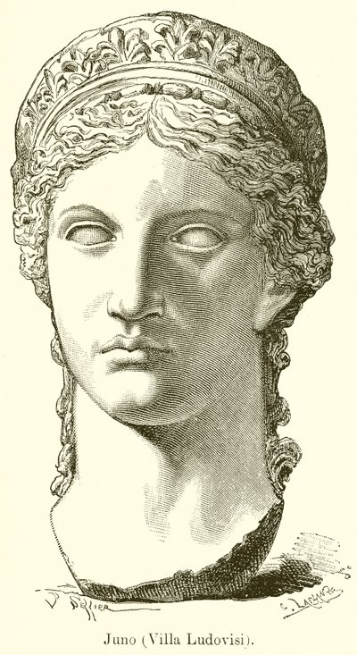 Juno (Willa Ludovisi) autorstwa English School