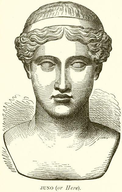 Juno (lub tutaj) autorstwa English School
