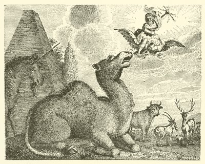 Jowisz i wielbłąd (rycina) autorstwa English School