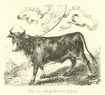 König René von Anjou von English School