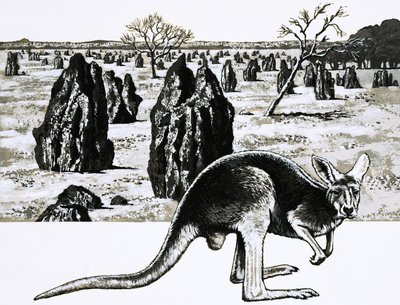 Duże kopce termitów w pobliżu Darwin w Australii, a na pierwszym planie kangur autorstwa English School