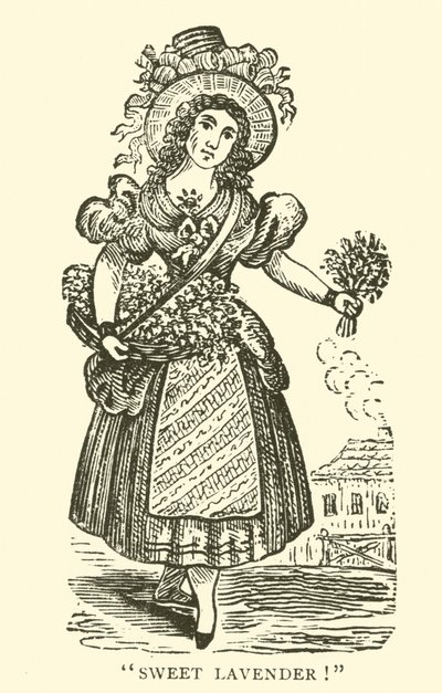 Sprzedawca lawendy (drzewryt) autorstwa English School