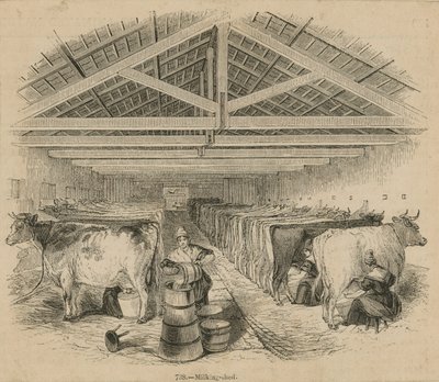 Farma mleczarska Laycocks z lipca 1841 r autorstwa English School