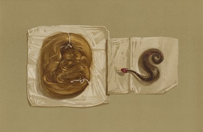 Kosmyk z włosów Marii Królowej Szkotów, Kosmyk z włosów króla Karola I (chromolitho) autorstwa English School