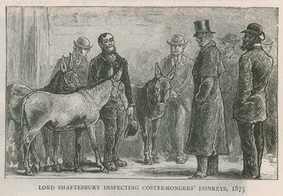Lord Shaftesbury przeprowadza inspekcję osłów handlarzy kosztami autorstwa English School