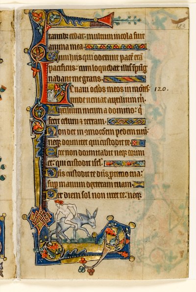 MS 1-2005, k.l. 183r: A Man Riding Backwards, dekoracja na marginesie z Psałterza Macclesfielda, Use of Sarum, East Anglia, c.1330 autorstwa English School