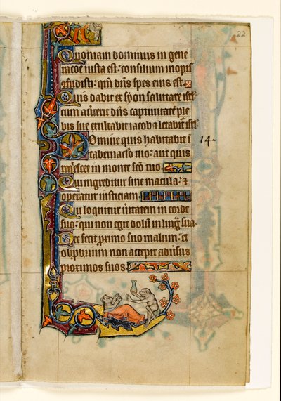 MS 1-2005, k.l. 22r: Doktor małpolud i jego pacjent-niedźwiedź, marginalna dekoracja z psałterza Macclesfielda, Use of Sarum, East Anglia, c.1330 autorstwa English School