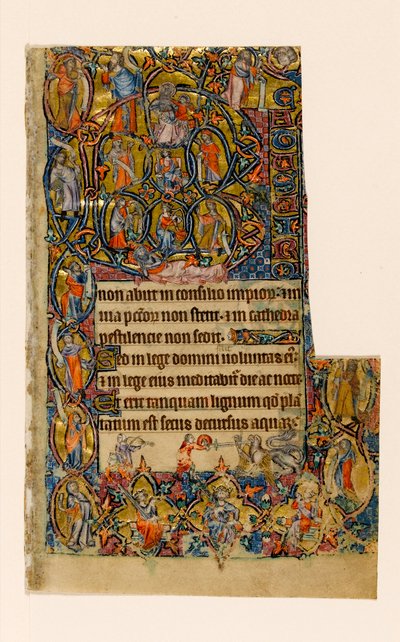 MS 1-2005, k.l. 9r: Drzewo Jessego i Beatus początkowa granica z muzyką i groteskową walką, z Psałterza Macclesfielda, Use of Sarum, East Anglia, c.1330 autorstwa English School