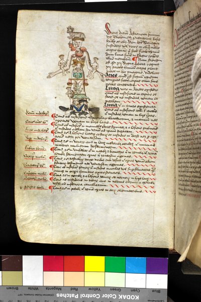 MS Hunter 251 f.47v, ilustracja „człowieka zodiaku”, ok. 1475-1500 (pióro i atrament oraz tempera na welinie) autorstwa English School