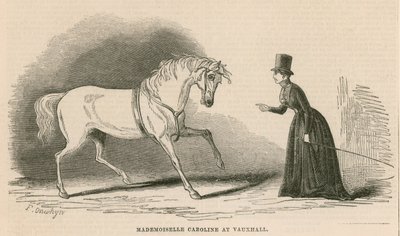 Mademoiselle Caroline w Vauxhall Gardens w Londynie autorstwa English School