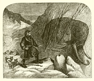 Mamut w lodzie autorstwa English School
