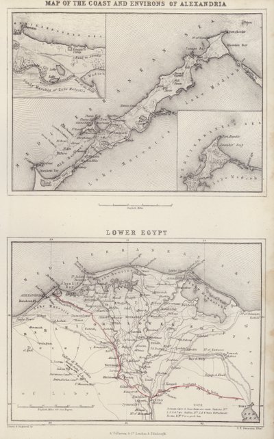 Mapa: Mapa wybrzeża i okolic Aleksandrii; Dolny Egipt (kolorowa litografia) autorstwa English School