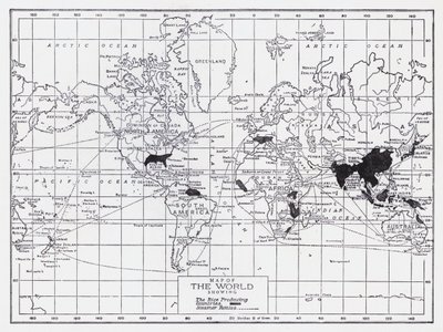 Mapa świata przedstawiająca kraje produkujące ryż (litografia) autorstwa English School